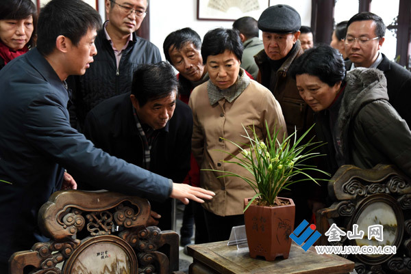 “幽香北固”鎮(zhèn)江市首屆春蘭展正式開(kāi)幕