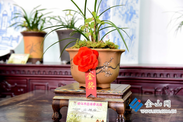 “幽香北固”鎮(zhèn)江市首屆春蘭展正式開(kāi)幕