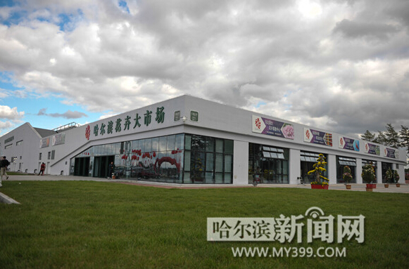哈爾濱花卉大市場新址開業(yè) 花卉價格很給力