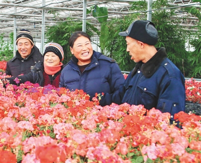 黑龍江：鐵力花卉基地冬日免費賞花