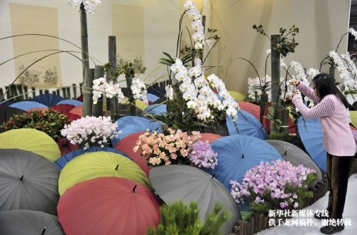 臺(tái)北市花博公園裝置“童話世界”