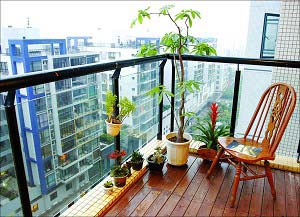 用好小氣候,在陽臺上養(yǎng)好花 (圖)